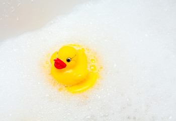 rubber duck on foam in bathroom