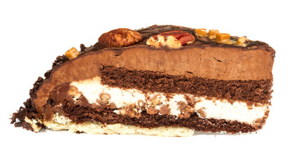 Piece of chocolate cake