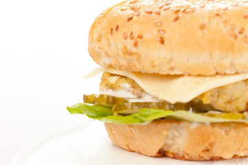 cheeseburger on the plate