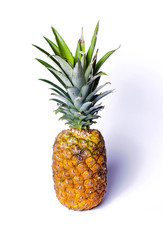 Fototapeta premium Pineapple