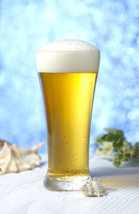 生ビール