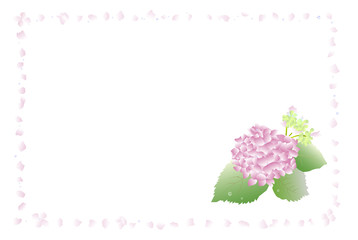 ピンク紫陽花フレーム