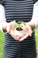 a person holding small plant in the park