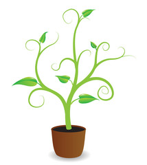 A potted plant beginning to grow, vector