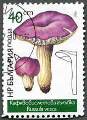 BULGARIA - 1987: shows Russula vesca, Mushrooms