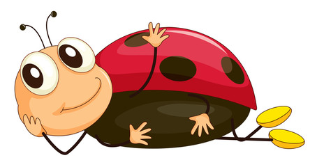 Fototapeta premium Comical creature