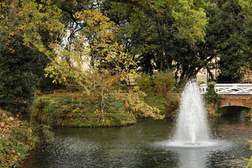Fuente en el bot&aacute;nico