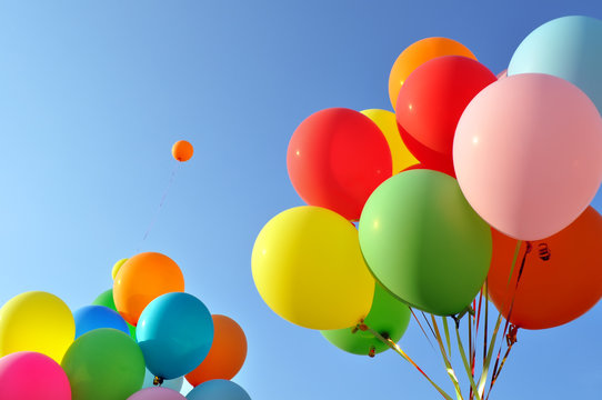 Fototapeta multicolored balloons