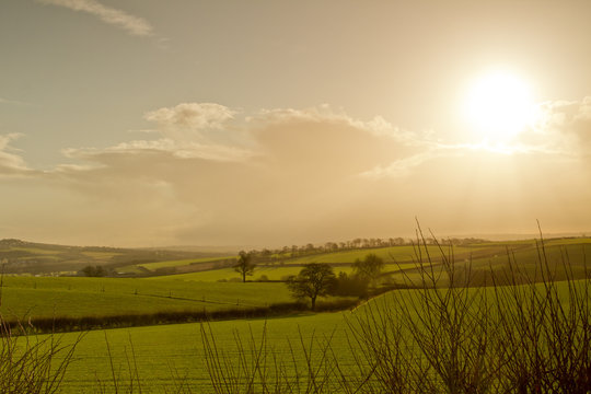 Late afternoon in the countryside