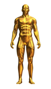 Gold Man Standing Front