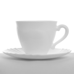 one white cup