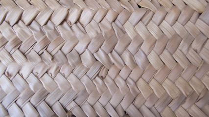 Fondo, textura vegetal