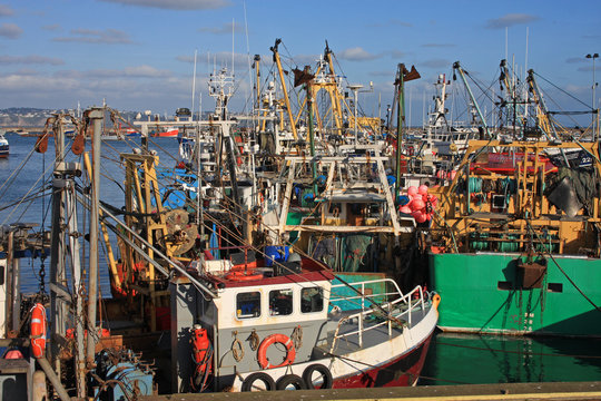 Trawlers in Brixham Harbour