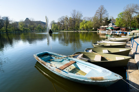 Row Boats In Lake Cismigiu Park, Bucharest