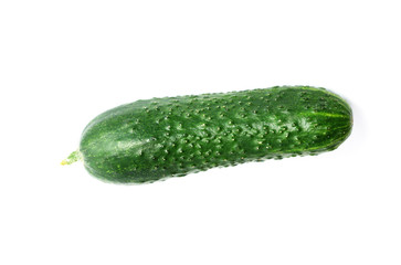 Isolated fresh domestic cucunber