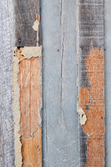 Old wooden plank with termites damage