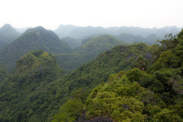 Naklejka premium Amazing view of a lush and green jungle in Vietnam