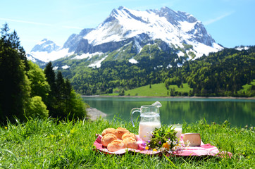 Milk, cheese and bread served at a picnic