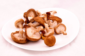 Mushroomsplate