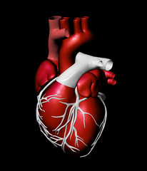Model of artificial human heart - 41618034