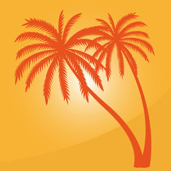 orangene palmen