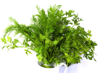 dill and parsley at platw isolated on a white background