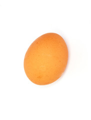 One egg on white background