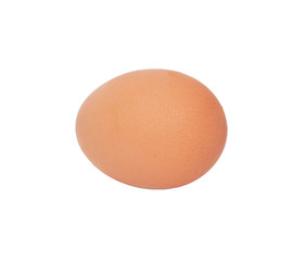 One egg on white background