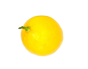 Lemon isolated on white background with copy space