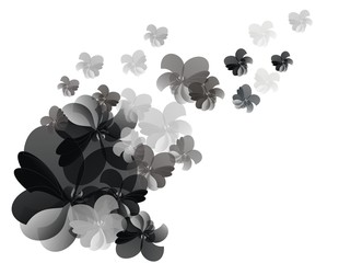 flower background black, gray and white