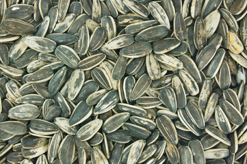 sunflower seeds