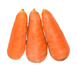 Carrots isolated on white