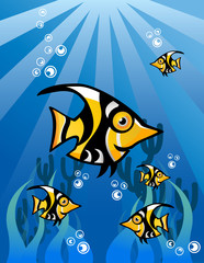 Black Yellow Fish Character Underwater