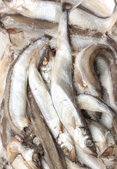 Fish in ice at the market