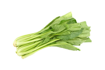 Chinese mustard green vegetable on white background.
