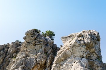 Fototapeta na wymiar Rock mountain in Crimea, Ukraine