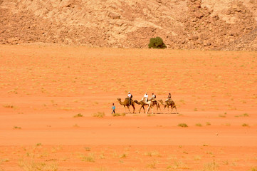 Camel Caravan at Wadi Rum desert, Jordan