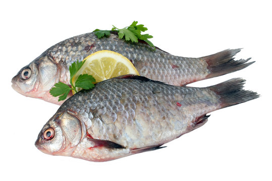 Fresh fishes with lemon and parsley isolated on white