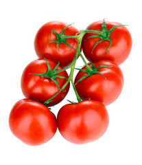 Fresh tomatoes on branch isolated on white