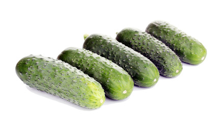Fresh cucumbers isolated on white