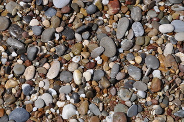 Kiesel an einem Strand
