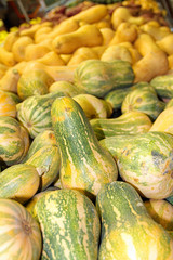 Farmers Market Pumpkin