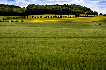 rural lansdscape near Coburg © Val Thoermer