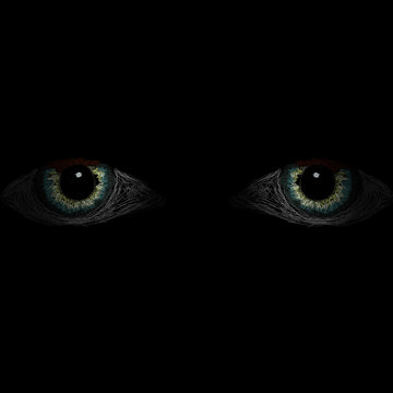 yeux