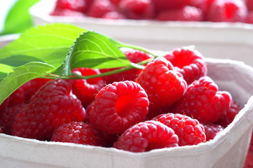 raspberry