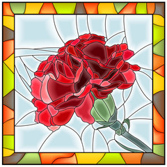 Naklejki  Vector illustration of flower red carnation.