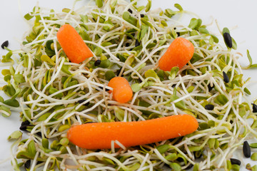Fresh alfalfa sprouts and carrot isolated on white background