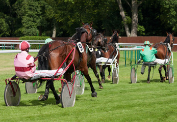 Course de trot