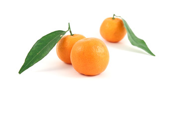Tangerine with leaf