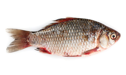 Fresh fish isolated on white